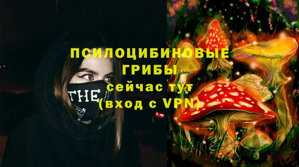 дживик Новодвинск