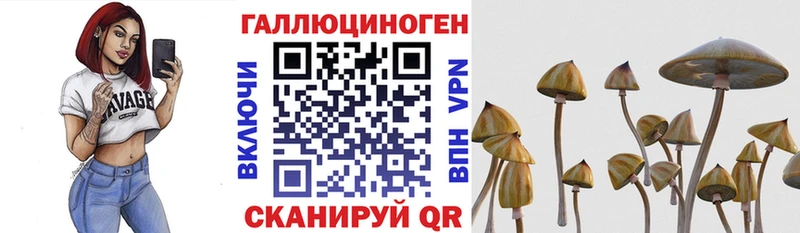Псилоцибиновые грибы Magic Shrooms  как найти наркотики  Нариманов 